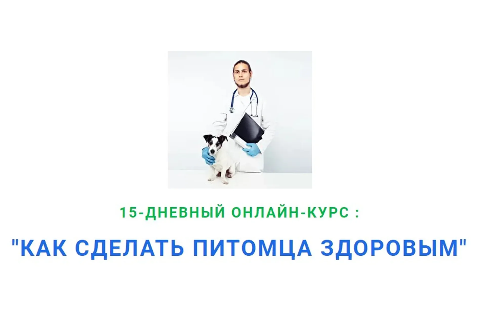 Как сделать питомца здоровым. 12 поток (Дмитрий Русаков)