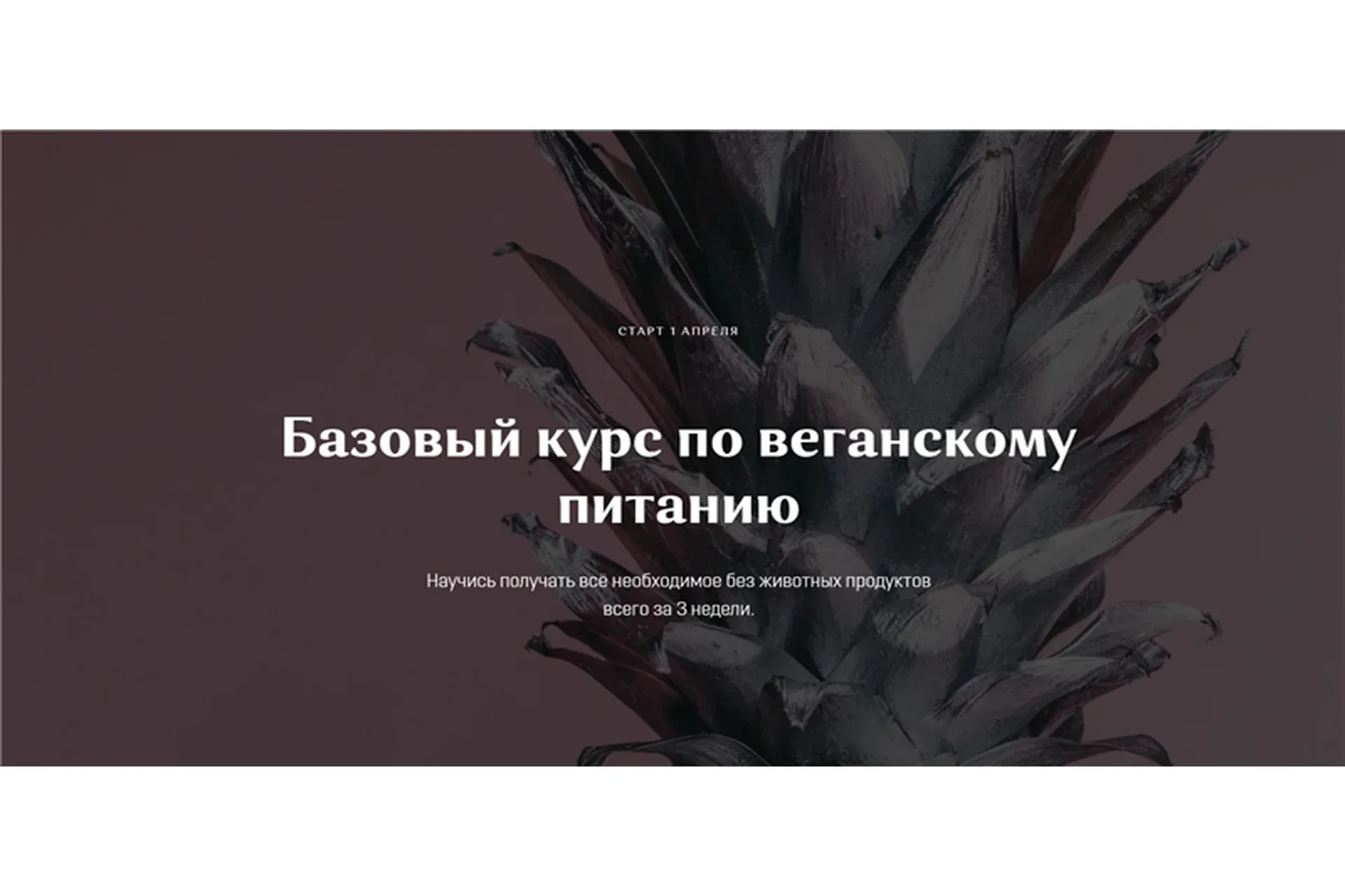 Базовый курс по веганскому питанию. Тариф Самостоятельный (Настя Лисица)