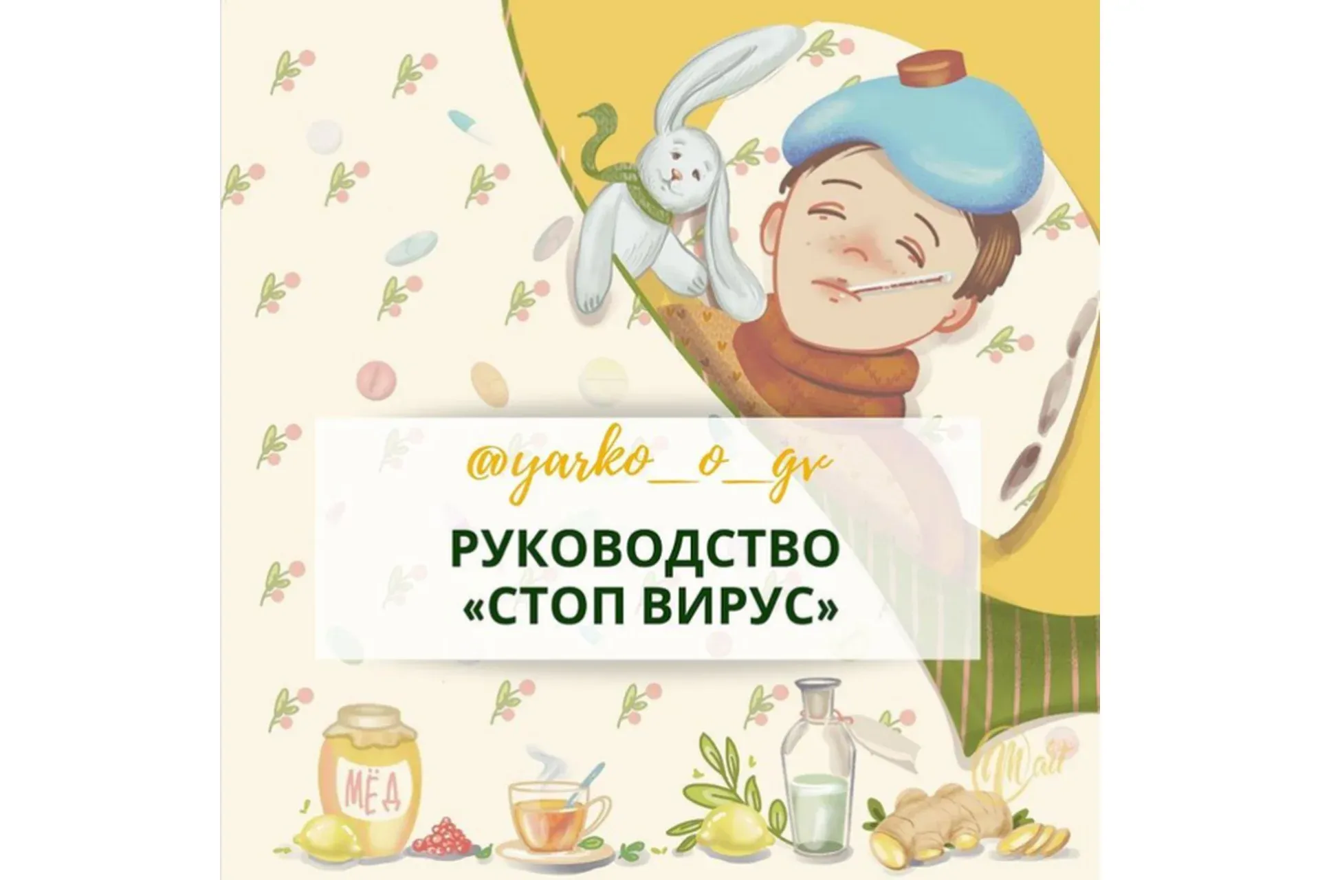 Руководство «Стоп Вирус» (Ярослава Илюшина)