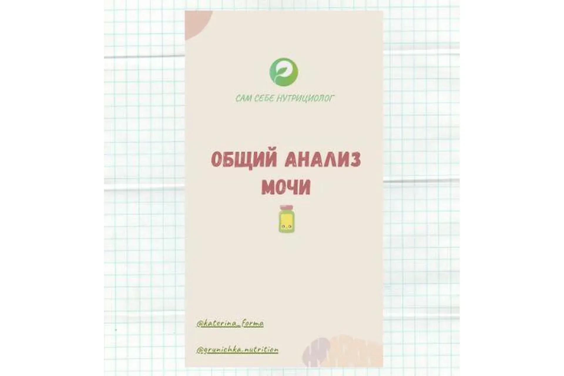 Руководство по расшифровке общего анализа мочи (Катерина Форма)