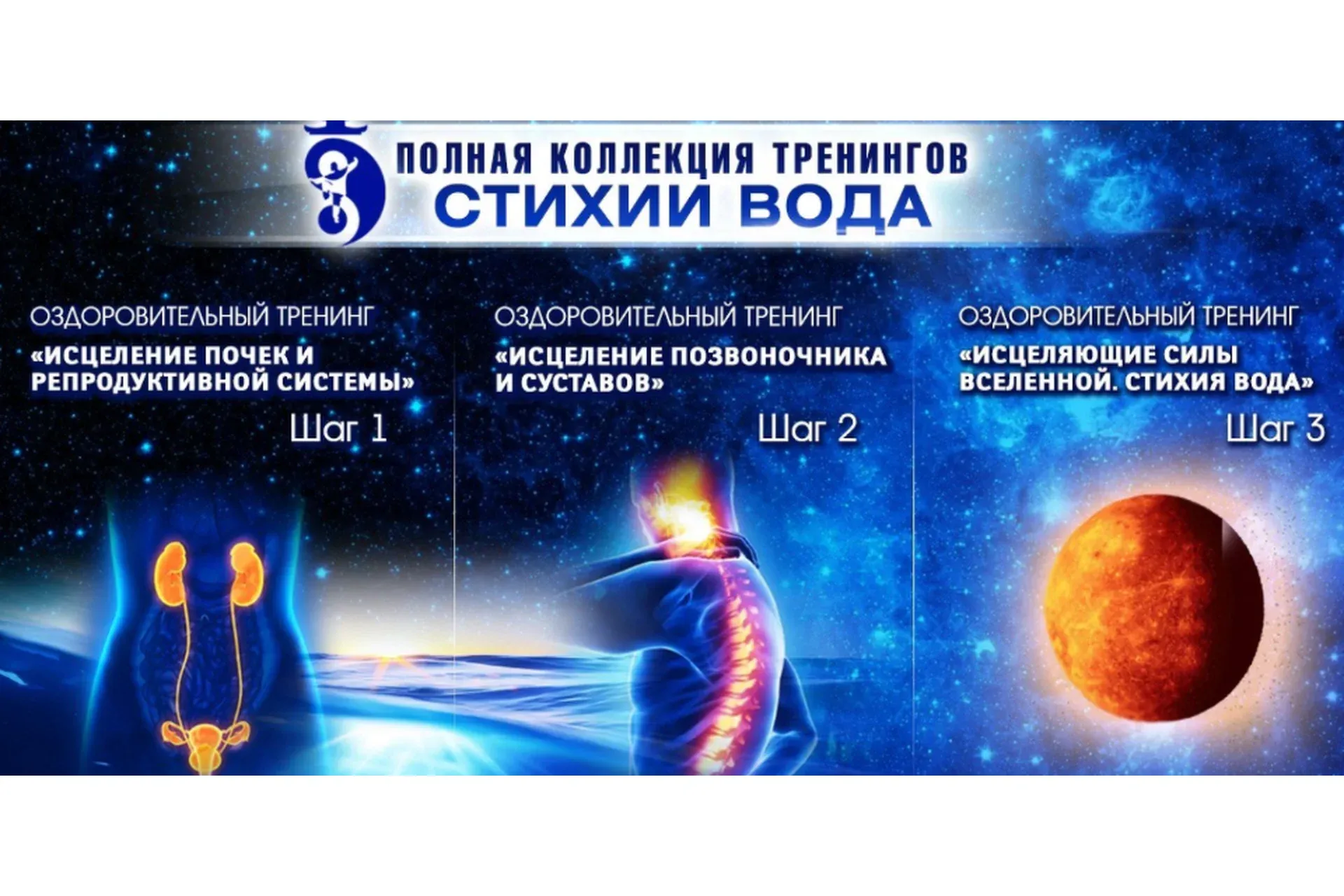 [Стихии Вода] Исцеление почек и репродуктивной системы. Шаг 1. Тариф - Вип (Владимир Осипов)