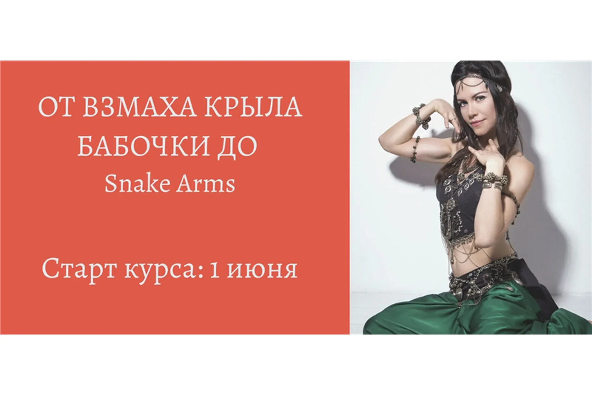 От взмаха крыла бабочки до Snake Arms (Анна Акинцева)
