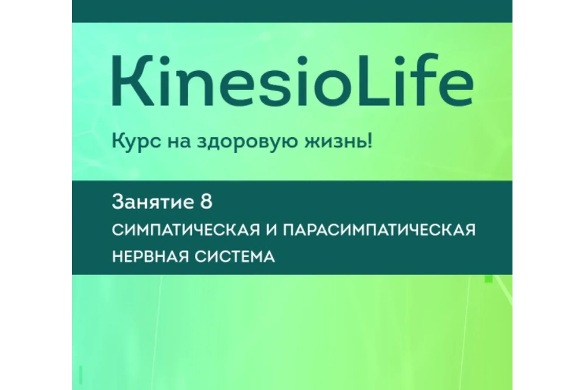 [KinesioLife] Семинар 8. Симпатическая и парасимпатическая нервная система (Людмила Васильева)