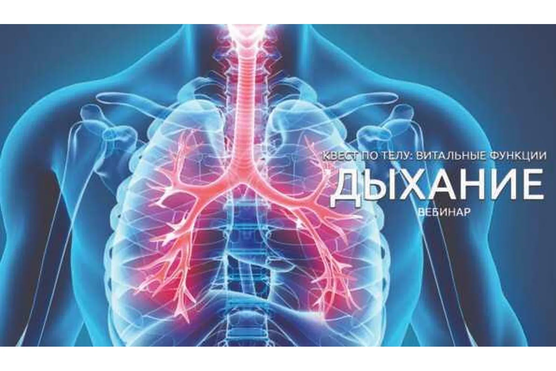 Квест по телу: витальные функции. Дыхание (Антон Шапочка)