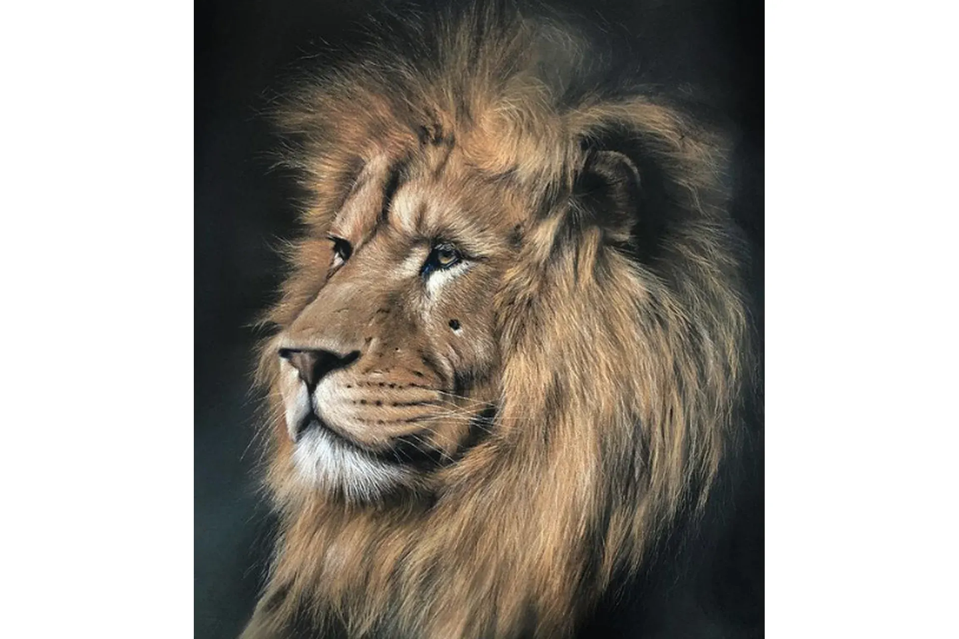 Король лев. Тариф С Ирой на год (Ирина Кукрусова)