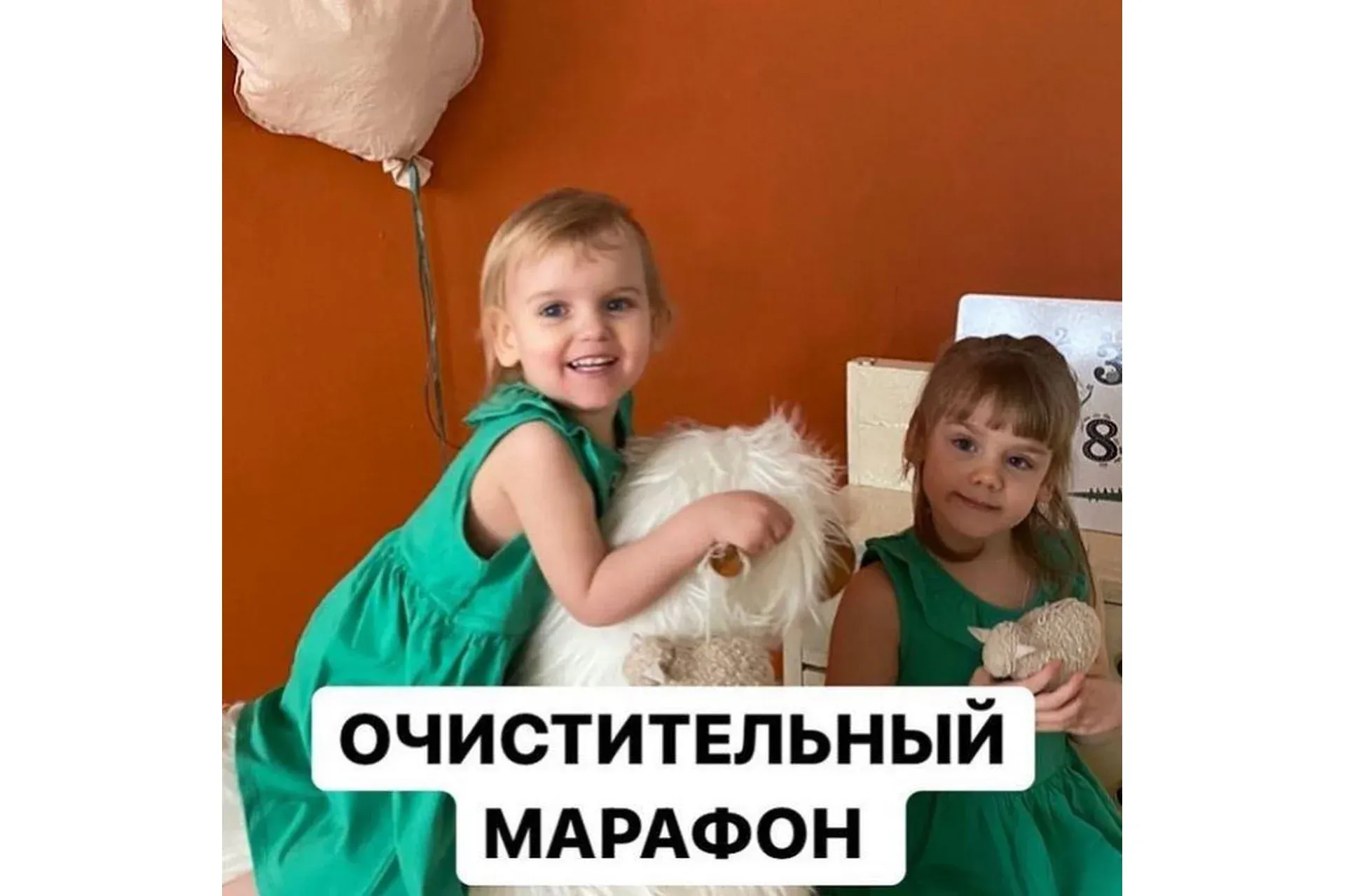 Очистительный марафон. Тариф Базовый (Алиса Басеева)