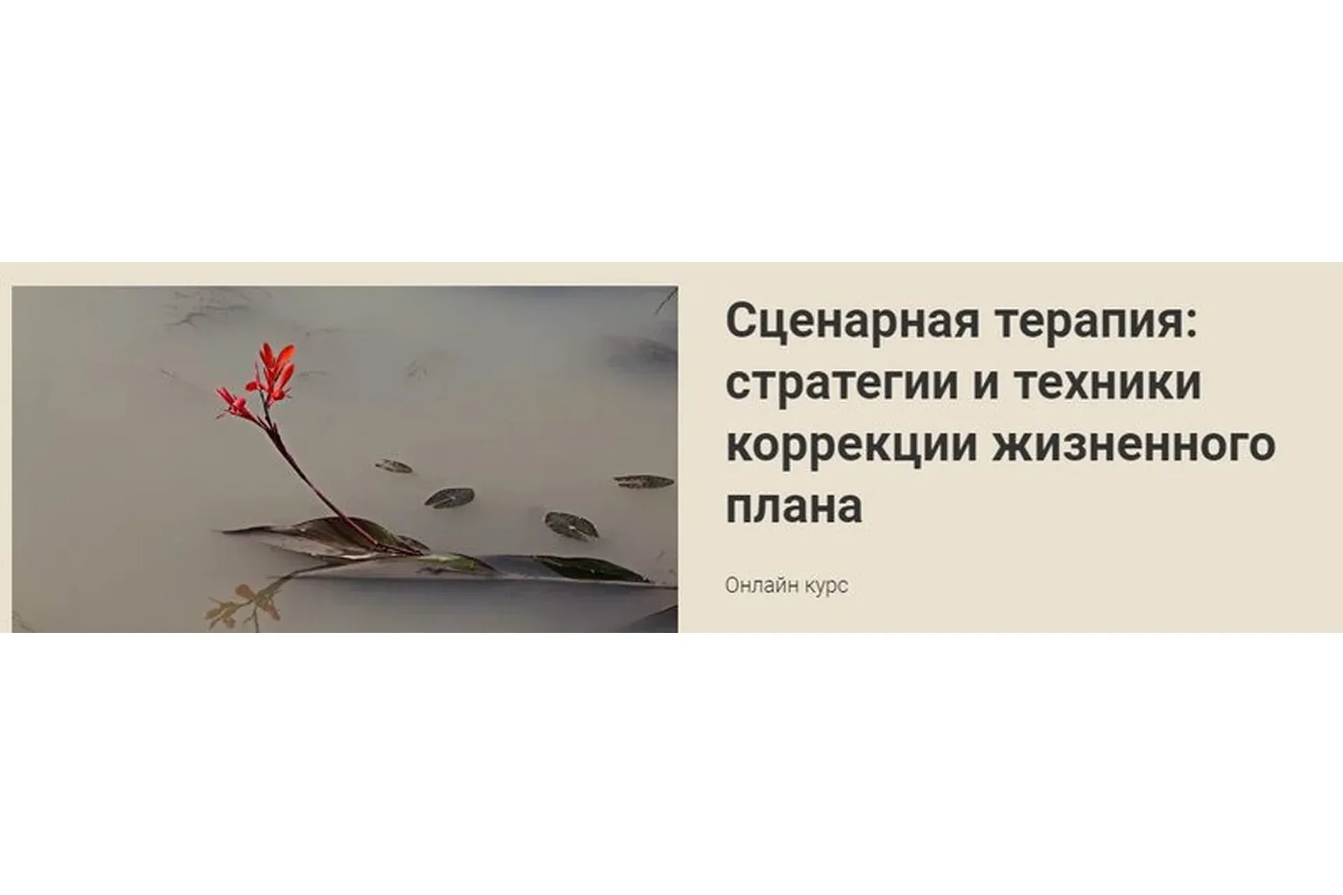Сценарная терапия: стратегии и техники коррекции жизненного плана (Наталья Приймаченко)