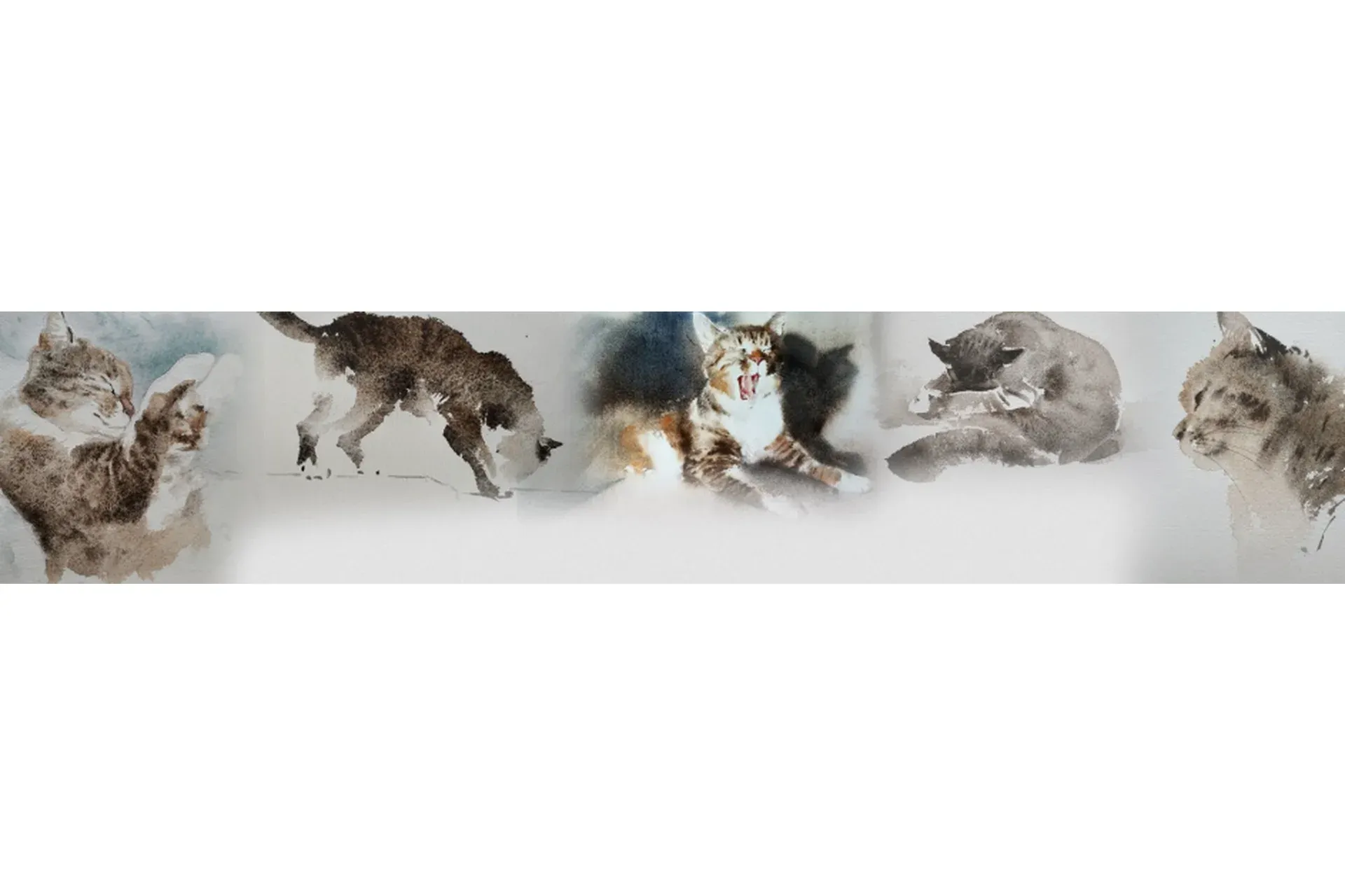 Абсолютно новые котики. Практика (Константин Стерхов)