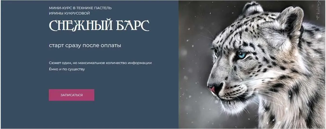 Снежный барс (Ирина Кукрусова)