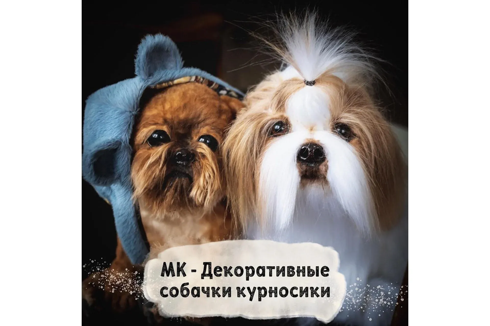 Декоративные собачки курносики (Янина Линк)