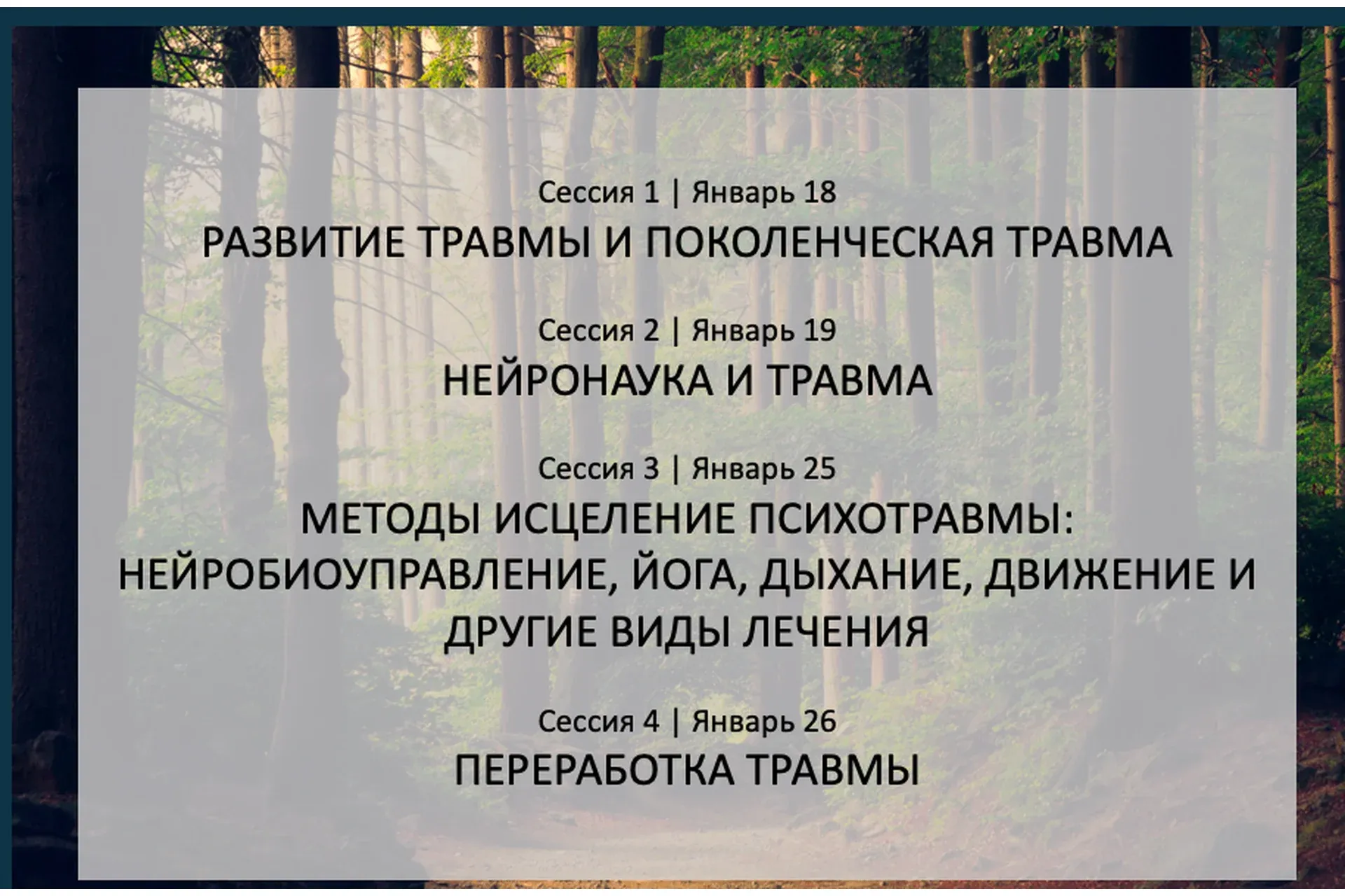 4х модульная программа (Бессел Ван Дер Колк)