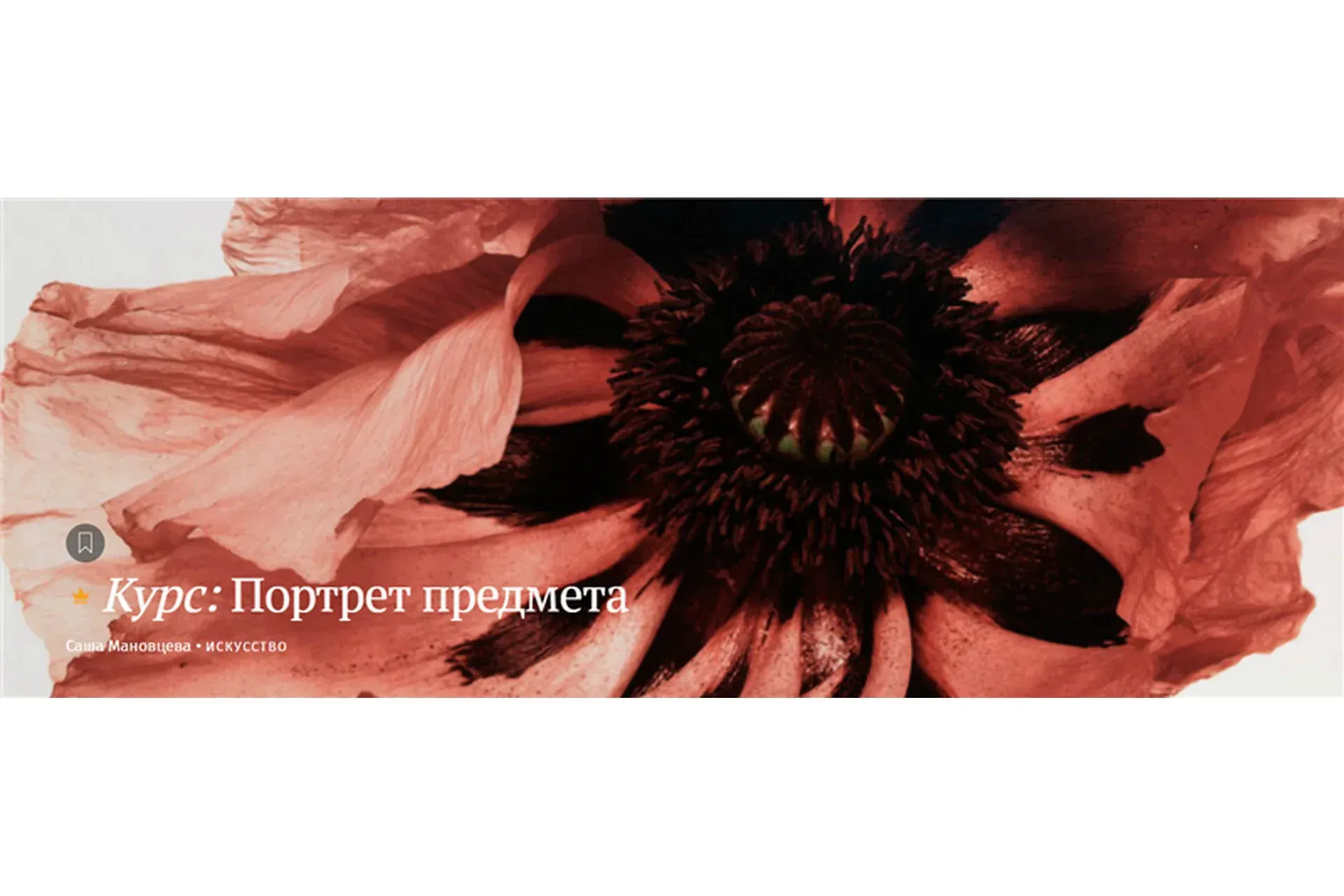 [Магистерия] Портрет предмета (Саша Мановцева)