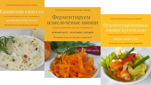 [Fermenterra] Серия Ферментированные овощи (Анна Fermenterra)