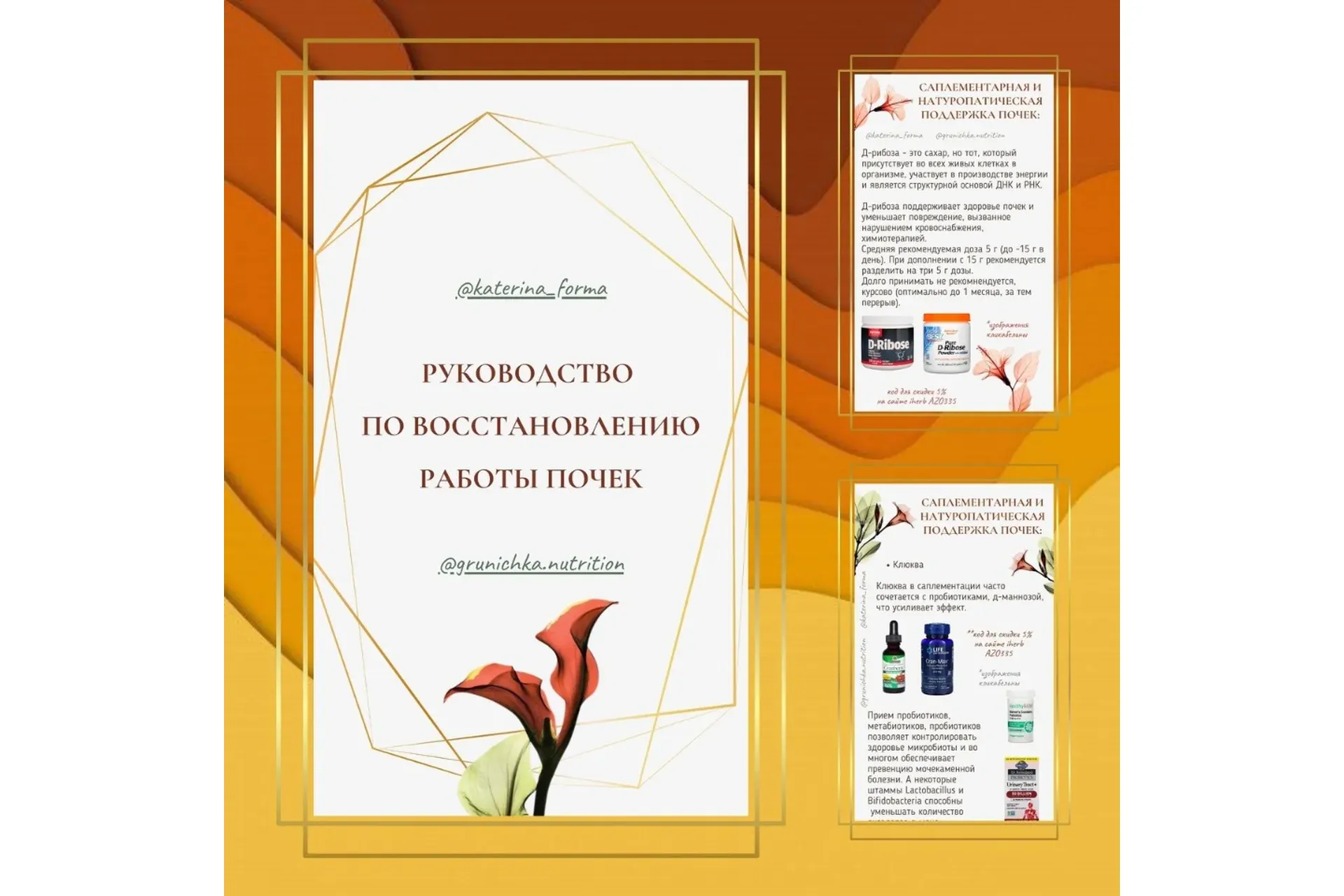 Руководство по восстановлению работы почек (Катерина Форма)