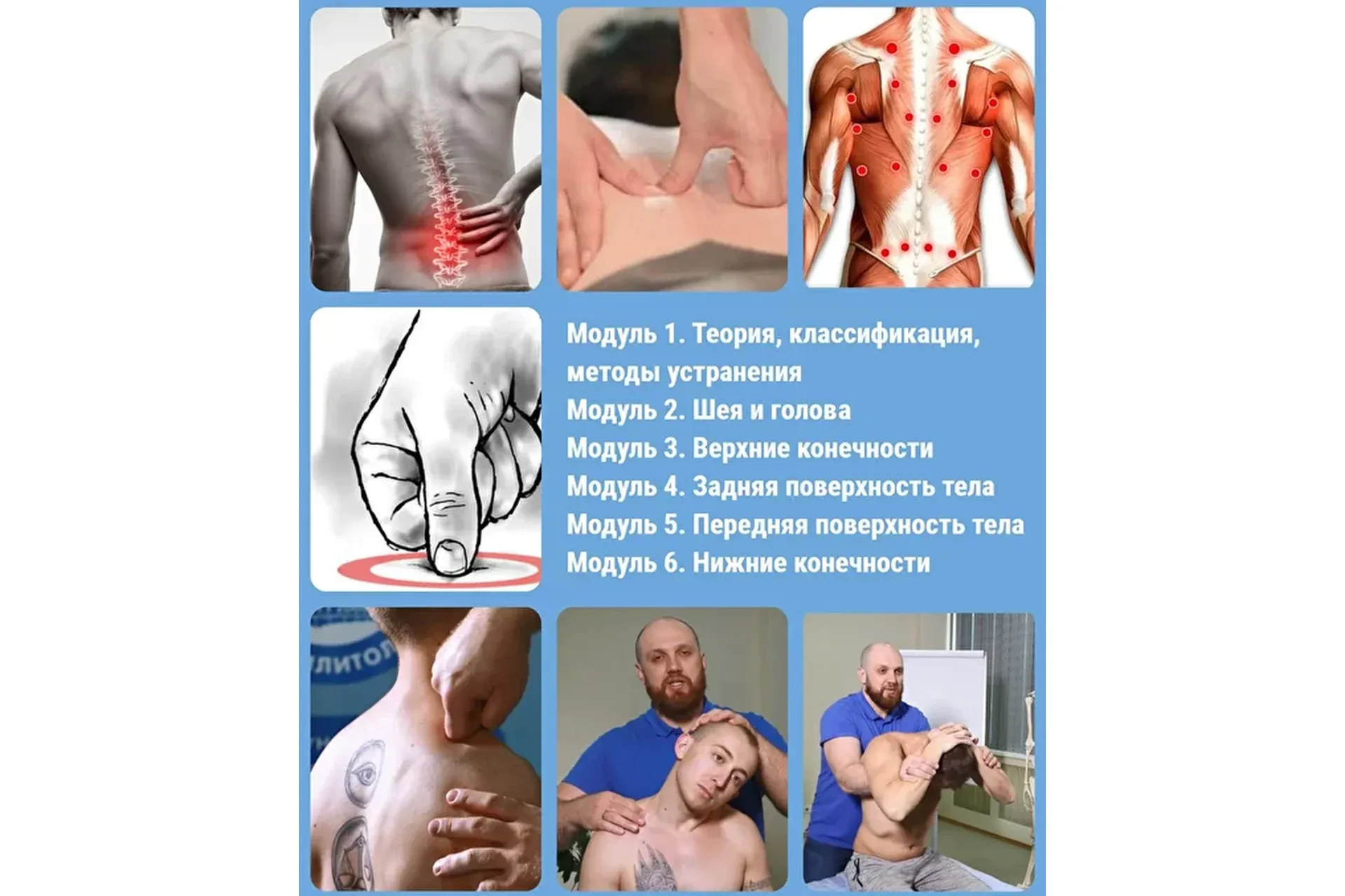 [Реабилитолог] Триггерные точки и миофасциальный болевой синдром (Алексей Кушнареко)