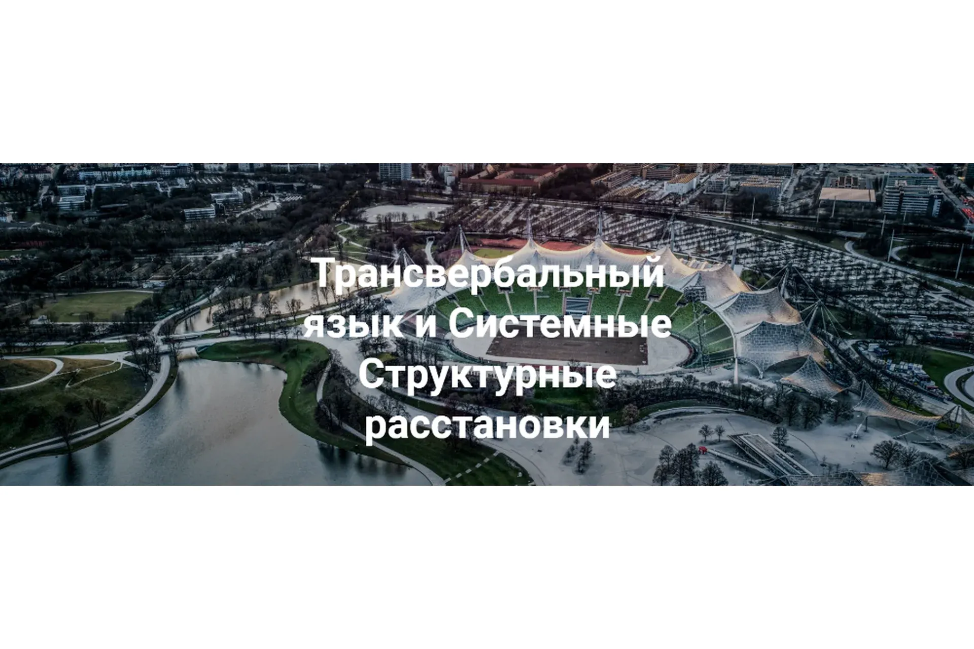 Трансвербальный язык и системные структурные расстановки (Маттиас Варга фон Кибед, Инза Шпаррер)