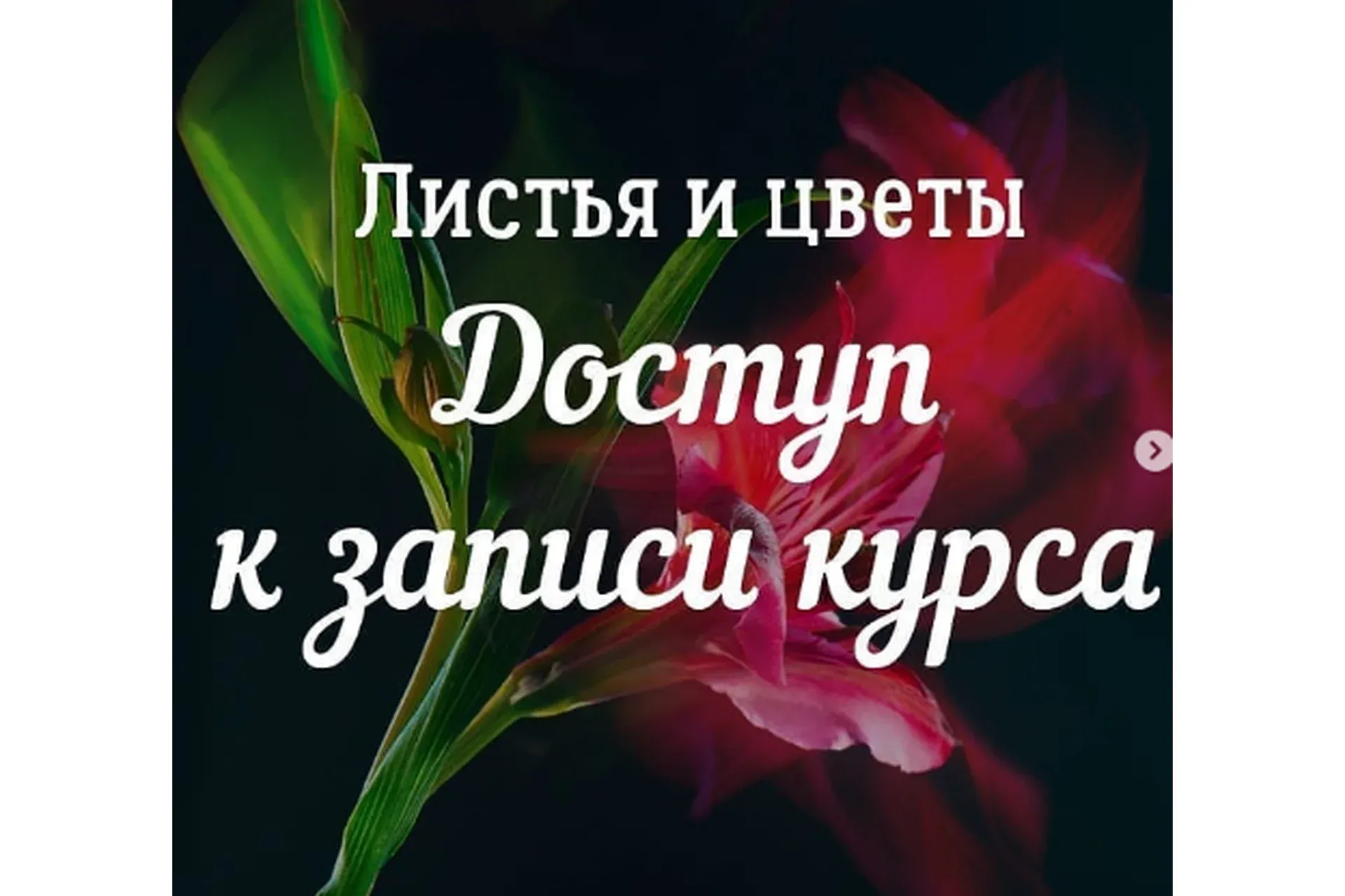 [7secrets.info] Листья и цветы (Дина Беленко)